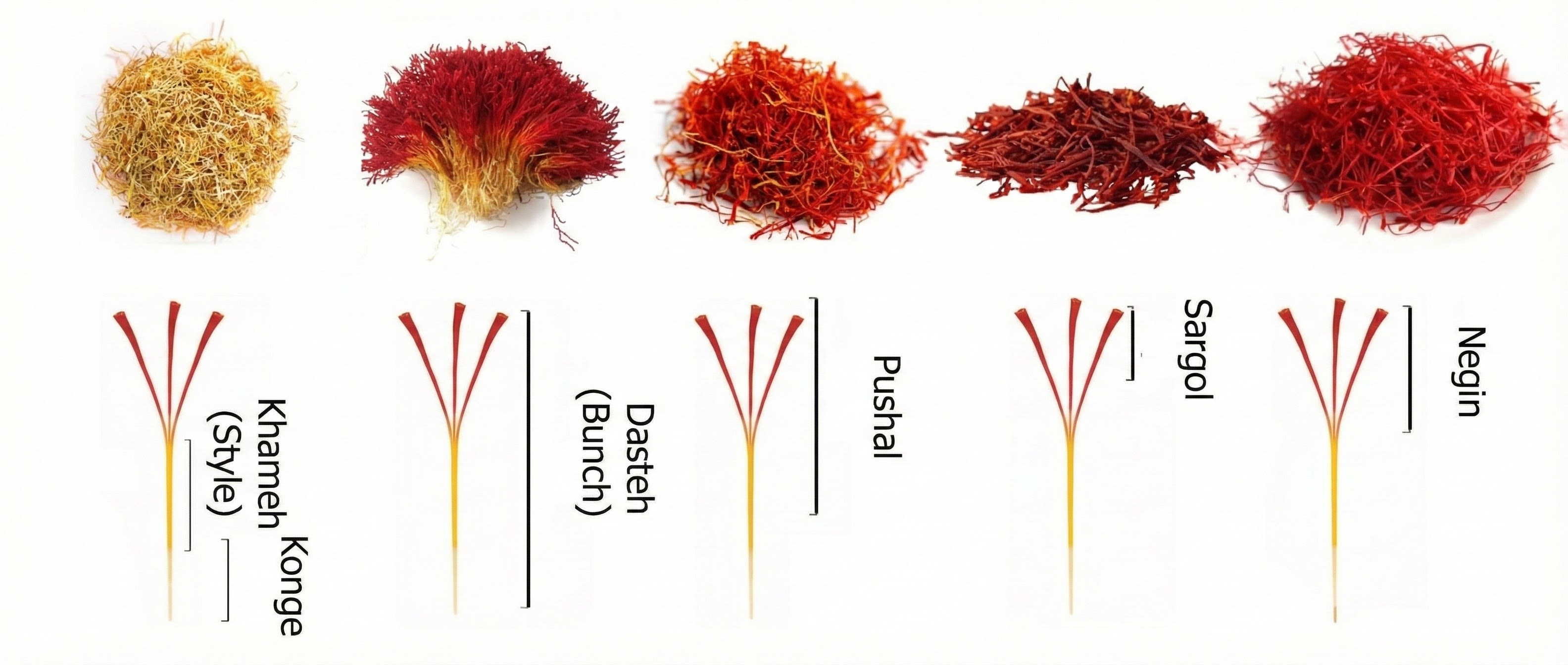 Saffron Quality Grades Chart